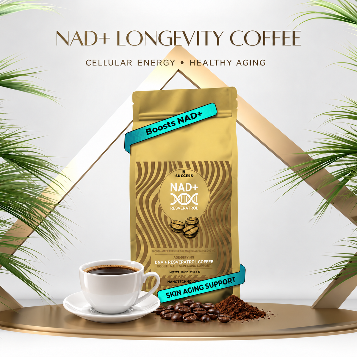 NAD+ Trans-Resveratrol