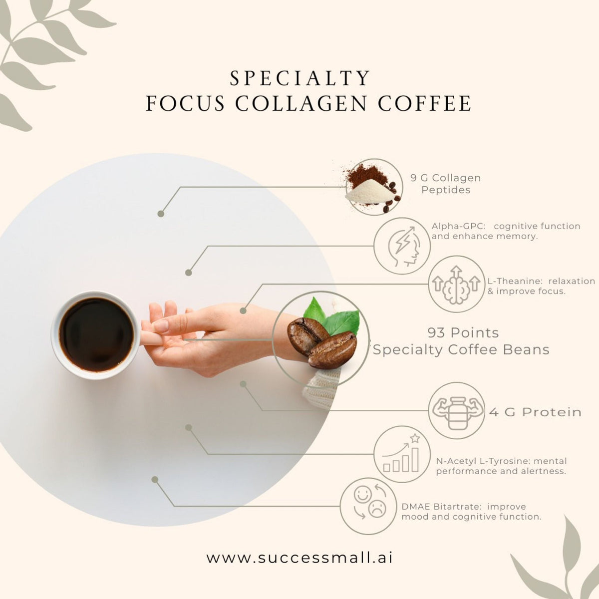 Focus Coffee